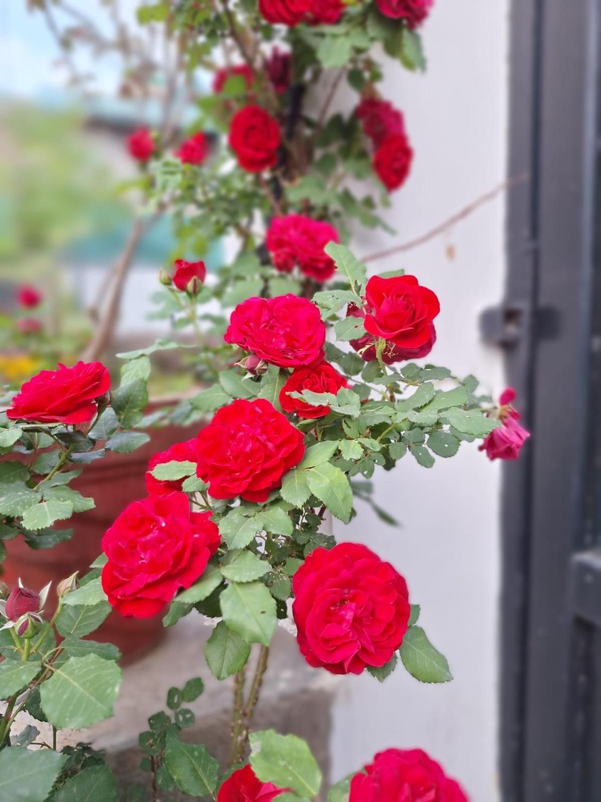 Bīr La Maison - A Boutique Bed And Breakfast מראה חיצוני תמונה