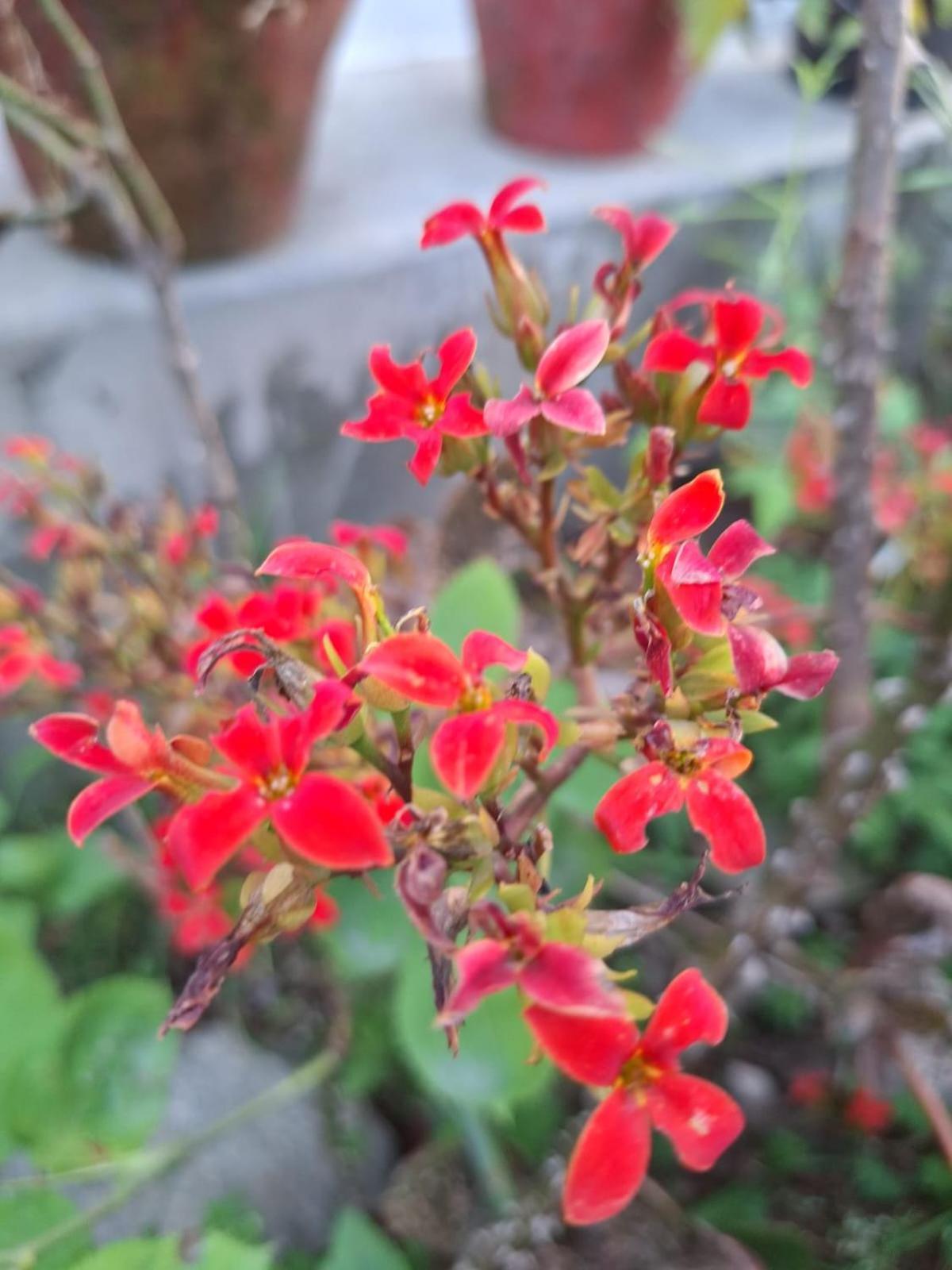 Bīr La Maison - A Boutique Bed And Breakfast מראה חיצוני תמונה