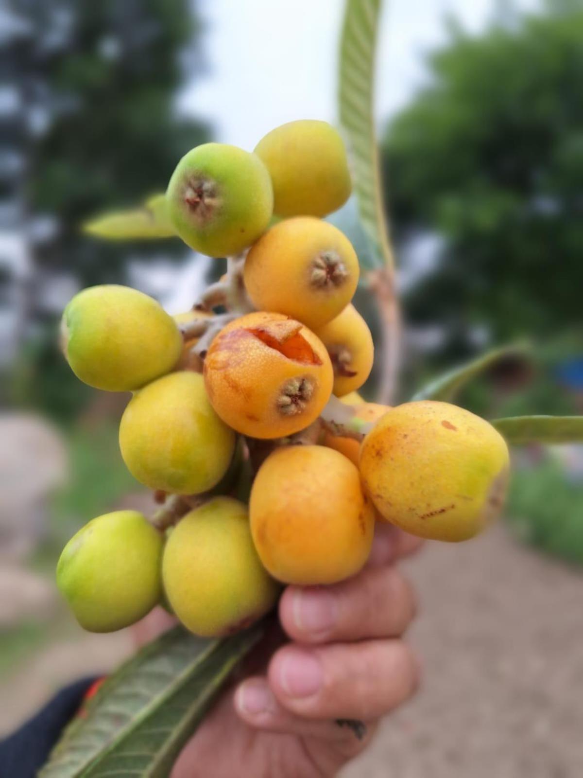 Bīr La Maison - A Boutique Bed And Breakfast מראה חיצוני תמונה